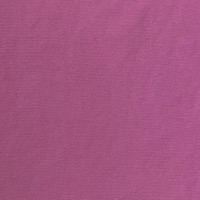 Farbe_fuchsia_fiore_G5995