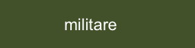 Farbe_militare_trasparenze